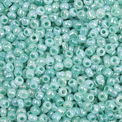 Glass Seed Beads SEED-XCP0001-48-1