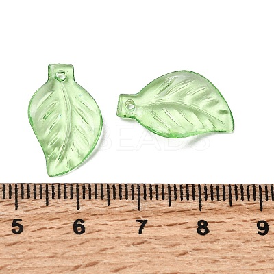Transparent Acrylic Pendants DBLA156-8-1