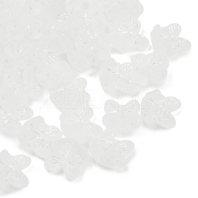 Frosted Transparent Acrylic Beads X1-OACR-P029-18B-05-1