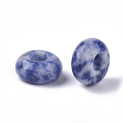 Natural Blue Spot Jasper European Beads G-Q503-09-1