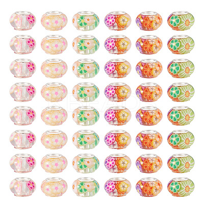 100Pcs Resin with Polymer Clay Inside European Beads RPDL-TA0001-08-1