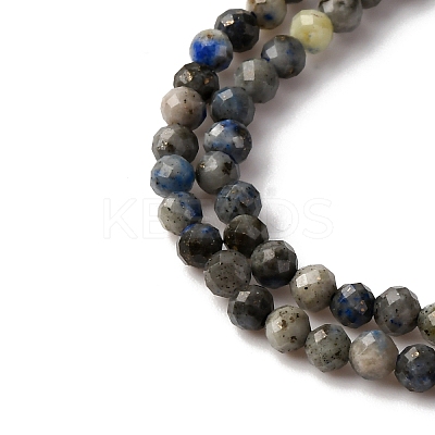 Natural Lapis Lazuli Beads Strands G-L629-B01-3mm-01-1