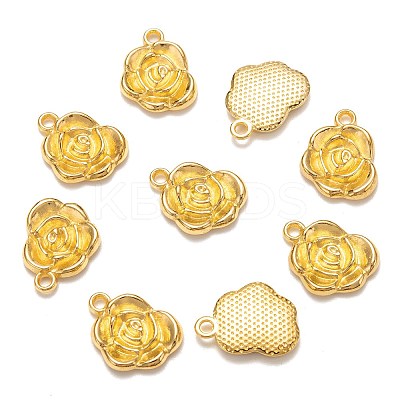 Tibetan Style Alloy Pendants LS-K0NTA011-1