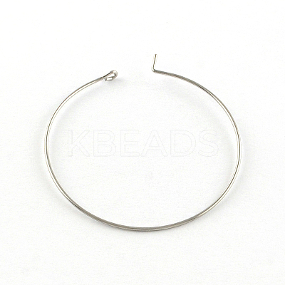 Tarnish Resistant 304 Stainless Steel Earring Hoop LS-STAS-R083-01-1