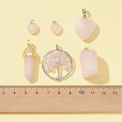 5 Styles Natural Rose Quartz Pendants G-FS0002-46-1