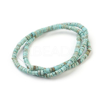 Natural Howlite Beads Strands X-G-P398-B01-1
