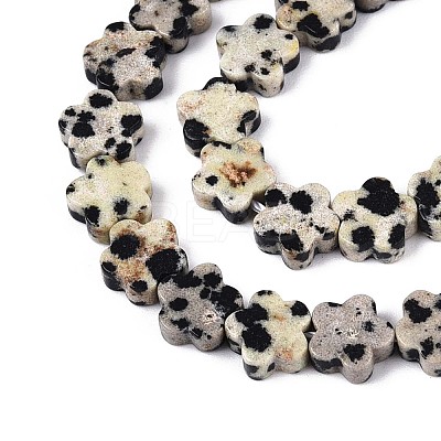 Natural Dalmatian Jasper Beads Strands G-N257-24A-04-1
