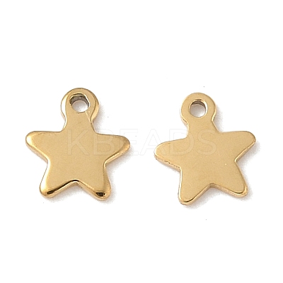 304 Stainless Steel Charms STAS-K306-15A-G-1