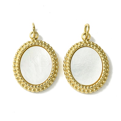 Ion Plating(IP) 304 Stainless Steel Pave Shell Pendants FIND-Z028-18G-1