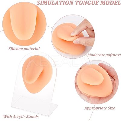 Soft Silicone Tongue Flexible Model Body Part Displays with Acrylic Stands ODIS-WH0002-23-1