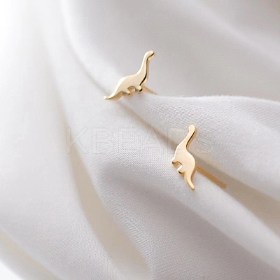 Alloy Earrings for Women FS-WG98937-05-1