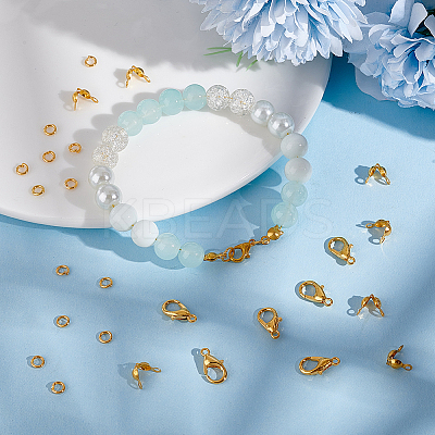 Zinc Alloy Lobster Claw Clasps & Brass End Bead Tips & Jump Rings Findings Kits DIY-GO0002-21G-1
