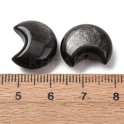 Natural Silver Sheen Obsidian Beads G-Z156-A01-1