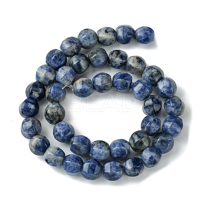 Natural Blue Spot Jasper Beads Strands G-H023-A07-01-1