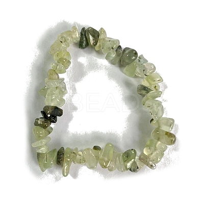 Natural Prehnite Stretch Bracelets PW-WG56138-12-1