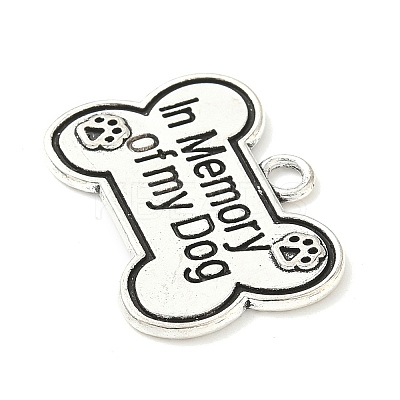 Tibetan Style Alloy Pendants FIND-B050-23AS-1