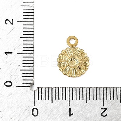 304 Stainless Steel Charms LS-STAS-S177-02G-1
