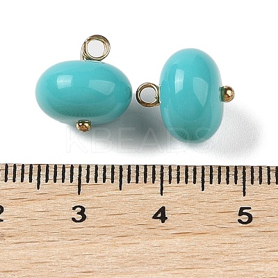 Acrylic Pendants MACR-C033-12C-1