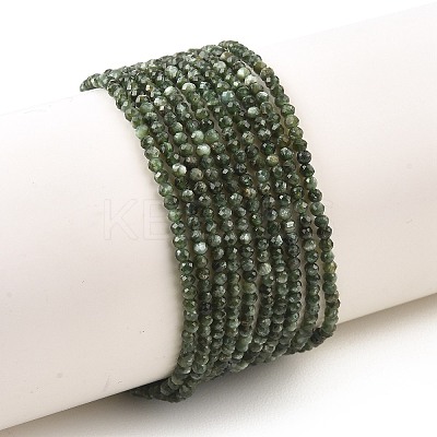 Natural Seraphinite Beads Strands G-K376-A02-2mm-1