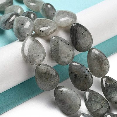 Natural Labradorite Beads Strands G-P528-L03-01-1