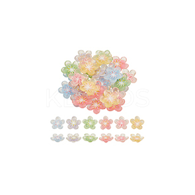 60Pcs 6 Colors Translucent Resin Decoden Cabochons RESI-GA0001-31-1
