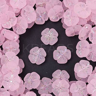 Frosted Transparent Acrylic Beads OACR-P029-19B-05-1