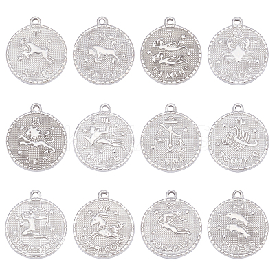 12Pcs 12 Style  304 Stainless Steel Pendants STAS-UN0026-15-1