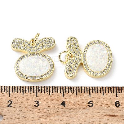 Rack Plating Brass Micro Pave Cubic Zirconia Pendants KK-C041-12G-1
