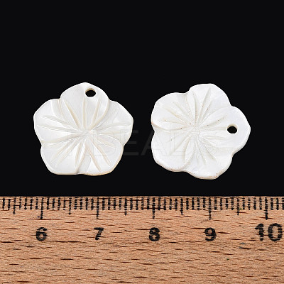 Natural Freshwater Shell Carved Pendants SHEL-N038-13-1