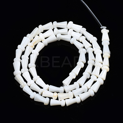 Natural Freshwater Shell Beads Strands SHEL-N026-199-1