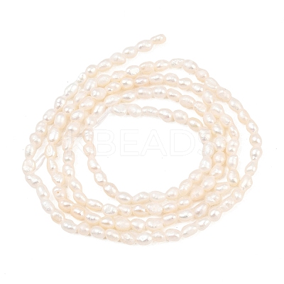 Natural Cultured Freshwater Pearl Beads Strands PEAR-D003-01D-02-1
