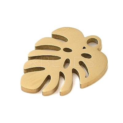 304 Stainless Steel Charms STAS-S123-01G-06-1
