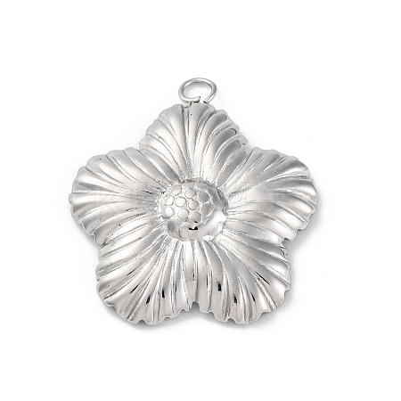 304 Stainless Steel Pendants STAS-Z114-02P-1