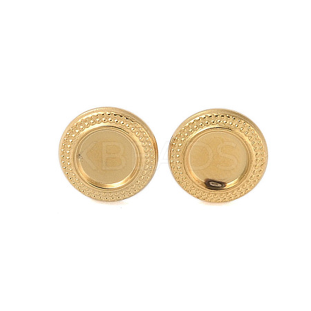 Ion Plating(IP) 304 Stainless Steel Earrings for Women STAS-S125-05G-1