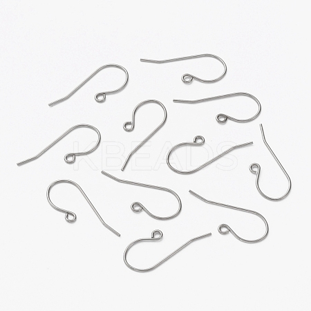 304 Stainless Steel Earring Hooks STAS-L253-004P-1