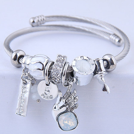 304 Stainless Steel European Bangles FS-WG0F961-04-1