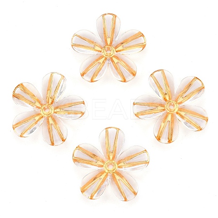 Transparent Acrylic Beads TACR-T028-18A-1
