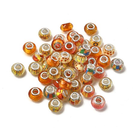 Printed Transparent Resin European Beads RESI-C063-03K-1