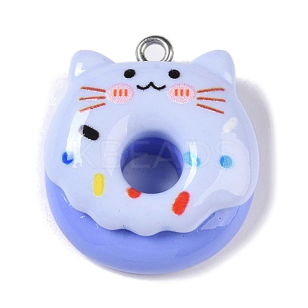 Opaque Resin Imitation Food Pendants RESI-S403-01E-1