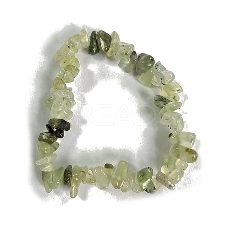 Natural Prehnite Stretch Bracelets PW-WG56138-12-1