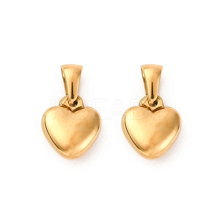304 Stainless Steel Charms STAS-A117-02B-G-1