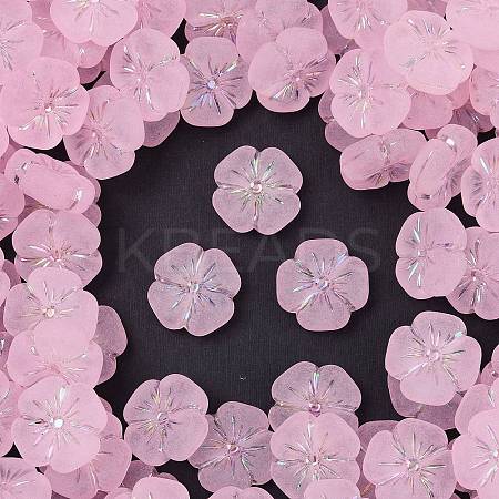 Frosted Transparent Acrylic Beads OACR-P029-19B-05-1