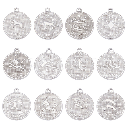 12Pcs 12 Style  304 Stainless Steel Pendants STAS-UN0026-15-1