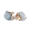 Natural Amazonite Pendants G-N359-18G-09-2