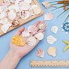 48Pcs Natural Shell Crafts DJEW-AR0001-12-3