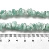 Natural Glass Beads Strands G-Q024-C02-01-5
