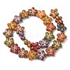 Painted Glass Beads Strands GLAA-B037-12B-12B-2