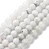 Natural Rainbow Moonstone Beads Strands G-I249-B04-03-7