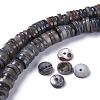 Natural Freshwater Shell Beads Strands X-BSHE-I016-04A-4