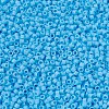 MIYUKI Delica Beads SEED-MY11-DB0879-3